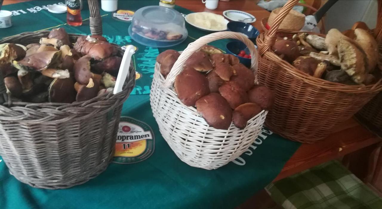 Horní Maršov Sedmikraskaヴィラ エクステリア 写真